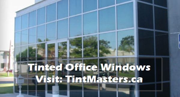 Tinted Office Windows by TintMasters.CA